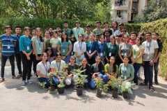Tree Plantation  Programme